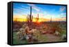 Sun is Setting between Saguaros, in Sonoran Desert.-Anton Foltin-Framed Stretched Canvas