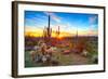 Sun is Setting between Saguaros, in Sonoran Desert.-Anton Foltin-Framed Photographic Print