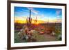 Sun is Setting between Saguaros, in Sonoran Desert.-Anton Foltin-Framed Photographic Print