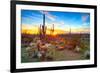 Sun is Setting between Saguaros, in Sonoran Desert.-Anton Foltin-Framed Photographic Print