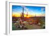 Sun is Setting between Saguaros, in Sonoran Desert.-Anton Foltin-Framed Photographic Print