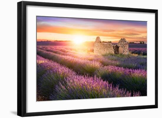 Sun Is Setting over a Beautiful Purple Lavender Filed in Valensole. Provence, France-Beatrice Preve-Framed Photographic Print