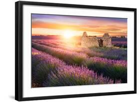 Sun Is Setting over a Beautiful Purple Lavender Filed in Valensole. Provence, France-Beatrice Preve-Framed Photographic Print