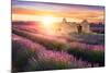 Sun Is Setting over a Beautiful Purple Lavender Filed in Valensole. Provence, France-Beatrice Preve-Mounted Photographic Print