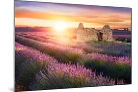 Sun Is Setting over a Beautiful Purple Lavender Filed in Valensole. Provence, France-Beatrice Preve-Mounted Photographic Print