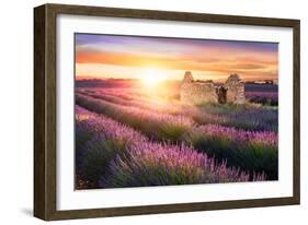 Sun Is Setting over a Beautiful Purple Lavender Filed in Valensole. Provence, France-Beatrice Preve-Framed Photographic Print