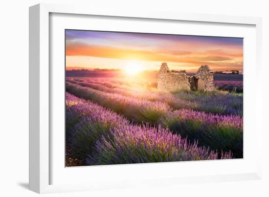 Sun Is Setting over a Beautiful Purple Lavender Filed in Valensole. Provence, France-Beatrice Preve-Framed Photographic Print