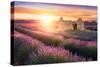 Sun Is Setting over a Beautiful Purple Lavender Filed in Valensole. Provence, France-Beatrice Preve-Stretched Canvas