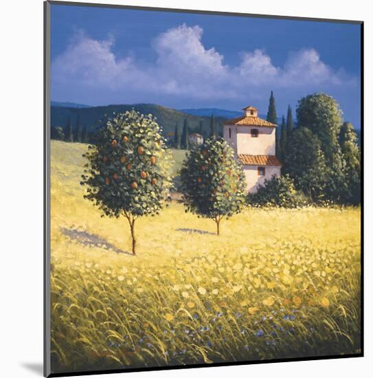 Sun Kissed Orchard II-David Short-Mounted Giclee Print