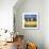 Sun Kissed Orchard II-David Short-Giclee Print displayed on a wall