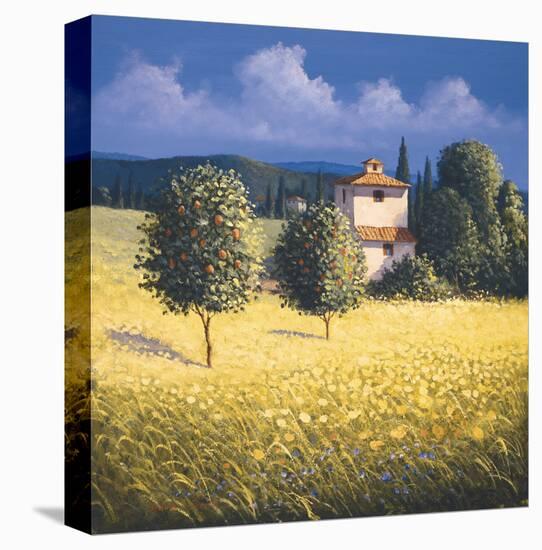 Sun Kissed Orchard II-David Short-Stretched Canvas