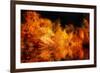 Sun Kissed-Philippe Sainte-Laudy-Framed Photographic Print