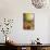 Sun Leaves-Viviane Fedieu Daniel-Mounted Photographic Print displayed on a wall