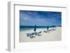 Sun loungers on world class Shoal Bay East beach, Anguilla, British Oversea territory, West Indies,-Michael Runkel-Framed Photographic Print