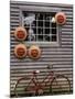 Sun Masks and Bicycle, Wiscasset, Maine, USA-Walter Bibikow-Mounted Premium Photographic Print