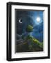 Sun Moon Stars-Jamin Still-Framed Giclee Print