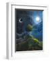 Sun Moon Stars-Jamin Still-Framed Giclee Print