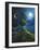 Sun Moon Stars-Jamin Still-Framed Giclee Print