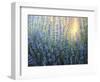 Sun Nuance-kirilstanchev-Framed Art Print