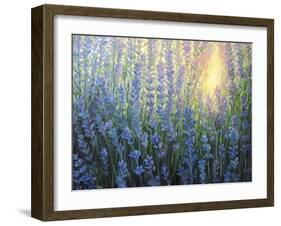 Sun Nuance-kirilstanchev-Framed Art Print