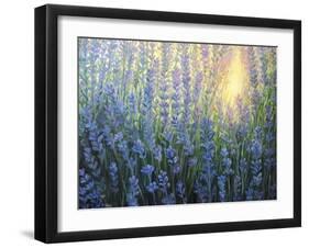 Sun Nuance-kirilstanchev-Framed Art Print