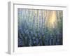 Sun Nuance-kirilstanchev-Framed Art Print