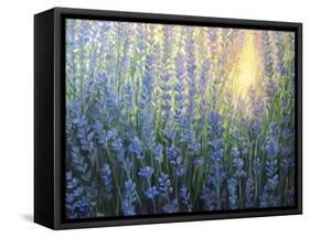 Sun Nuance-kirilstanchev-Framed Stretched Canvas