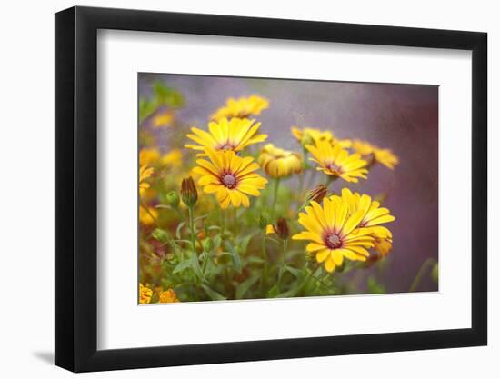 Sun of the Sun-Viviane Fedieu Daniel-Framed Photographic Print