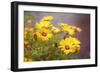 Sun of the Sun-Viviane Fedieu Daniel-Framed Photographic Print