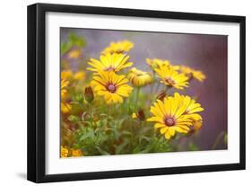 Sun of the Sun-Viviane Fedieu Daniel-Framed Photographic Print