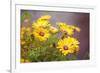 Sun of the Sun-Viviane Fedieu Daniel-Framed Photographic Print