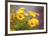 Sun of the Sun-Viviane Fedieu Daniel-Framed Photographic Print