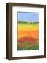 Sun On The Flower Field I-Clara Carreres-Framed Art Print