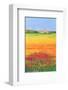 Sun On The Flower Field I-Clara Carreres-Framed Art Print