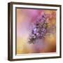 Sun on the Lilacs-Jai Johnson-Framed Giclee Print