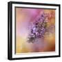 Sun on the Lilacs-Jai Johnson-Framed Giclee Print