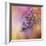 Sun on the Lilacs-Jai Johnson-Framed Giclee Print