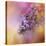 Sun on the Lilacs-Jai Johnson-Stretched Canvas