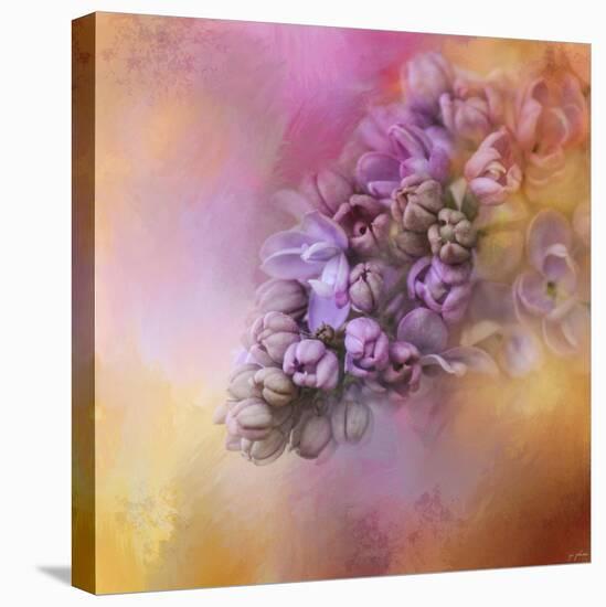 Sun on the Lilacs-Jai Johnson-Stretched Canvas