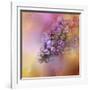 Sun on the Lilacs-Jai Johnson-Framed Giclee Print