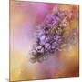 Sun on the Lilacs-Jai Johnson-Mounted Giclee Print