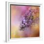 Sun on the Lilacs-Jai Johnson-Framed Giclee Print