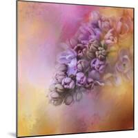 Sun on the Lilacs-Jai Johnson-Mounted Giclee Print