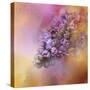 Sun on the Lilacs-Jai Johnson-Stretched Canvas