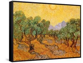 Sun over Olive Grove, 1889-Vincent van Gogh-Framed Stretched Canvas