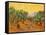 Sun over Olive Grove, 1889-Vincent van Gogh-Framed Stretched Canvas