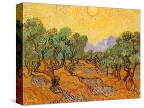 Sun over Olive Grove, 1889-Vincent van Gogh-Stretched Canvas