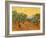 Sun over Olive Grove, 1889-Vincent van Gogh-Framed Giclee Print