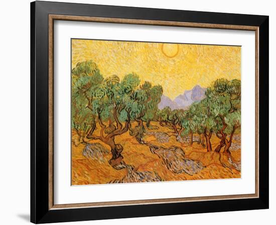 Sun over Olive Grove, 1889-Vincent van Gogh-Framed Giclee Print