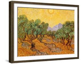 Sun over Olive Grove, 1889-Vincent van Gogh-Framed Giclee Print